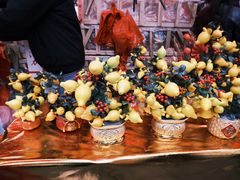 -越秀西湖花市(广州城市广场花卉店)