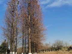 -长广溪湿地公园