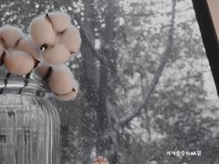 -COTTON CAFE(德信·中外公寓店)