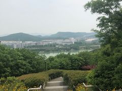 -羊山湖公园