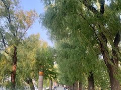 -长春市南湖公园