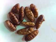 -荣誉国际酒店-云顶旋转餐厅