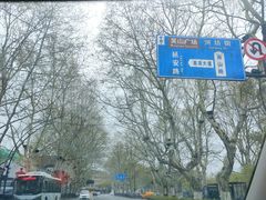 -柳莺湖上·湖景餐厅·江南菜(西湖店)