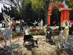 -祥源·阜阳生态乐园