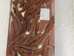 -江杨农产品批发市场