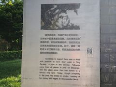 -神仙树公园