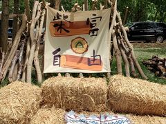 -森林小栈TreeStation露营基地