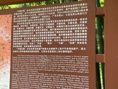 -赤水丹霞旅游区·佛光岩
