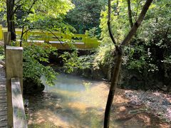 -本溪汤沟绿石谷森林公园