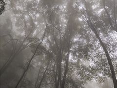 -封龙山风景区