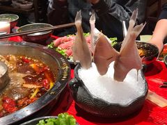 -谭鸭血老火锅(漳州路店)