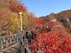 -狼牙山风景区