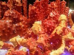 iphone_upload_pic-广州花园酒店-凌璇阁360度高空海鲜自助餐CAROUSEL