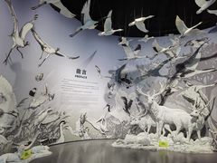 -中国湿地博物馆