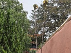 -南岳衡山风景名胜区-南岳大庙