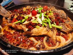 -老板恋上鱼(高新万达店)
