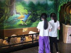 -昆明大悦城未来动物城(螺蛳湾中心店)