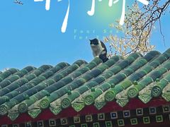-中国农业博物馆