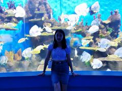 -石林冰雪海洋世界