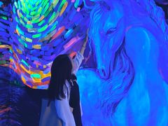 -深圳独角兽星空艺术馆