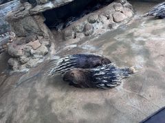 -海南热带野生动植物园
