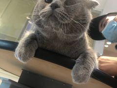 -Pets First伊珊娜洗护·精致美容·家庭式寄养(新会路店)