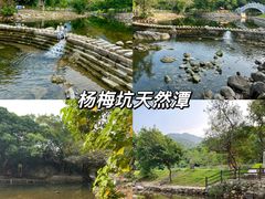 -马峦山郊野公园