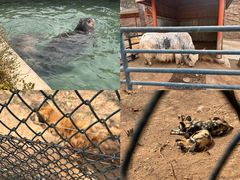 -大连森林动物园