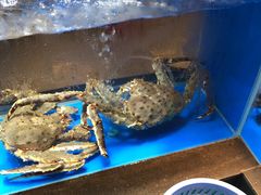 水产区-德米火锅(深圳湾1号旗舰店)