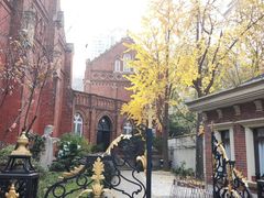 -徐家汇天主堂