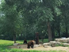 -北京野生动物园