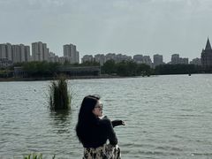 -桃花岛公园
