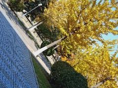 -沈阳师范大学-图书馆