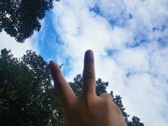 -梧桐山风景名胜区