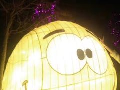 -五龙山野生动物王国