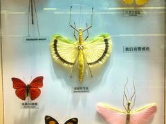 -大连自然博物馆