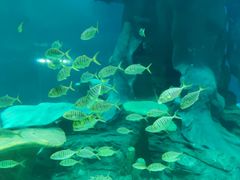 -龙谷湾旅游休闲度假区