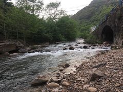 -衢州大荫山丛林飞越探险乐园