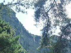 -重庆睡佛山森林公园