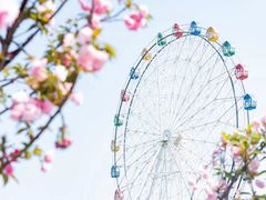 -观澜湖生态运动公社