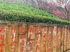 -重庆彩云湖湿地公园