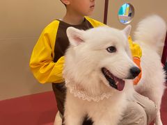 -和它·交个朋友·狗咖猫咖(爱琴海店)