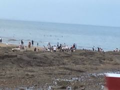 -日照海滨国家森林公园