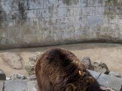 -赭山公园