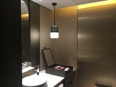 -新加坡瑞士史丹福酒店