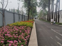 -成飞公园