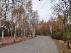 -群力丁香公园