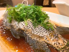 -凤城酒家(环市西路店)