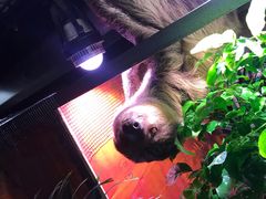 -正佳雨林生态植物园