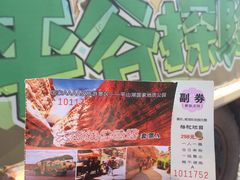 -张掖平山湖大峡谷景区